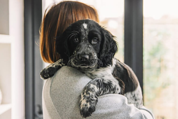 Φιλοξενία & Υιοθεσία